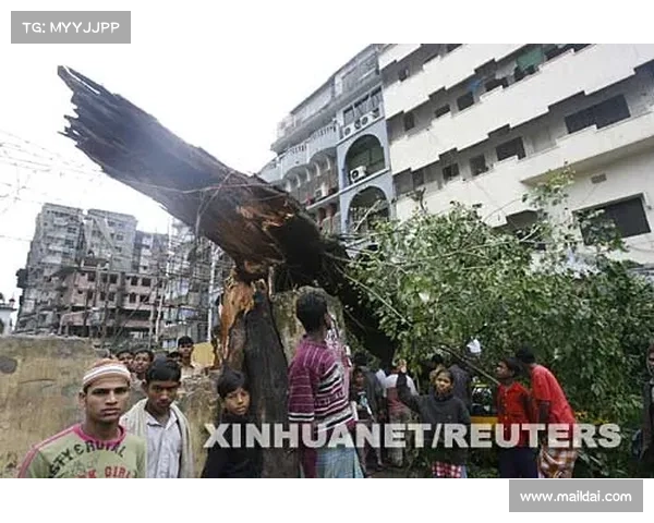 加州同一县的城市遭遇不同的网络攻击 媒体 加州同一县的城市遭遇不同的网络攻击 媒体
